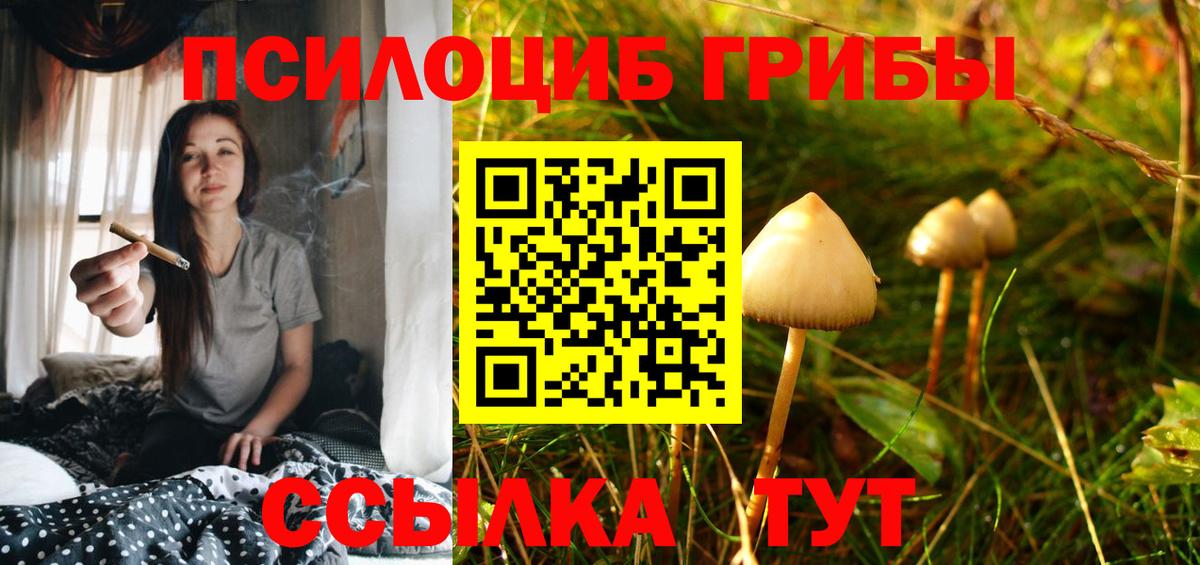 Ртищево  Галлюциногенные грибы GOLDEN TEACHER  Вход с VPN 